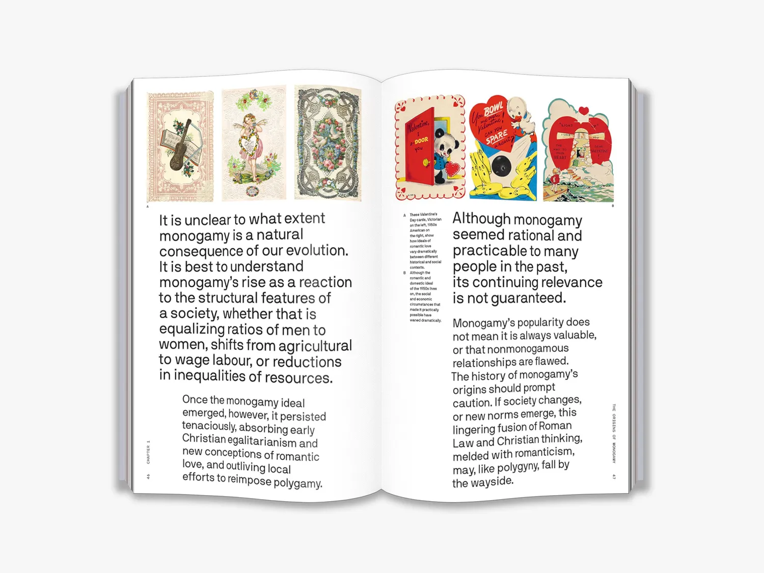 Thames & Hudson Does Monogamy Work bog monogami