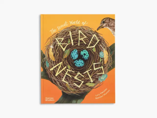 Thames & Hudson Secret World Bird Nests børnebog illustreret