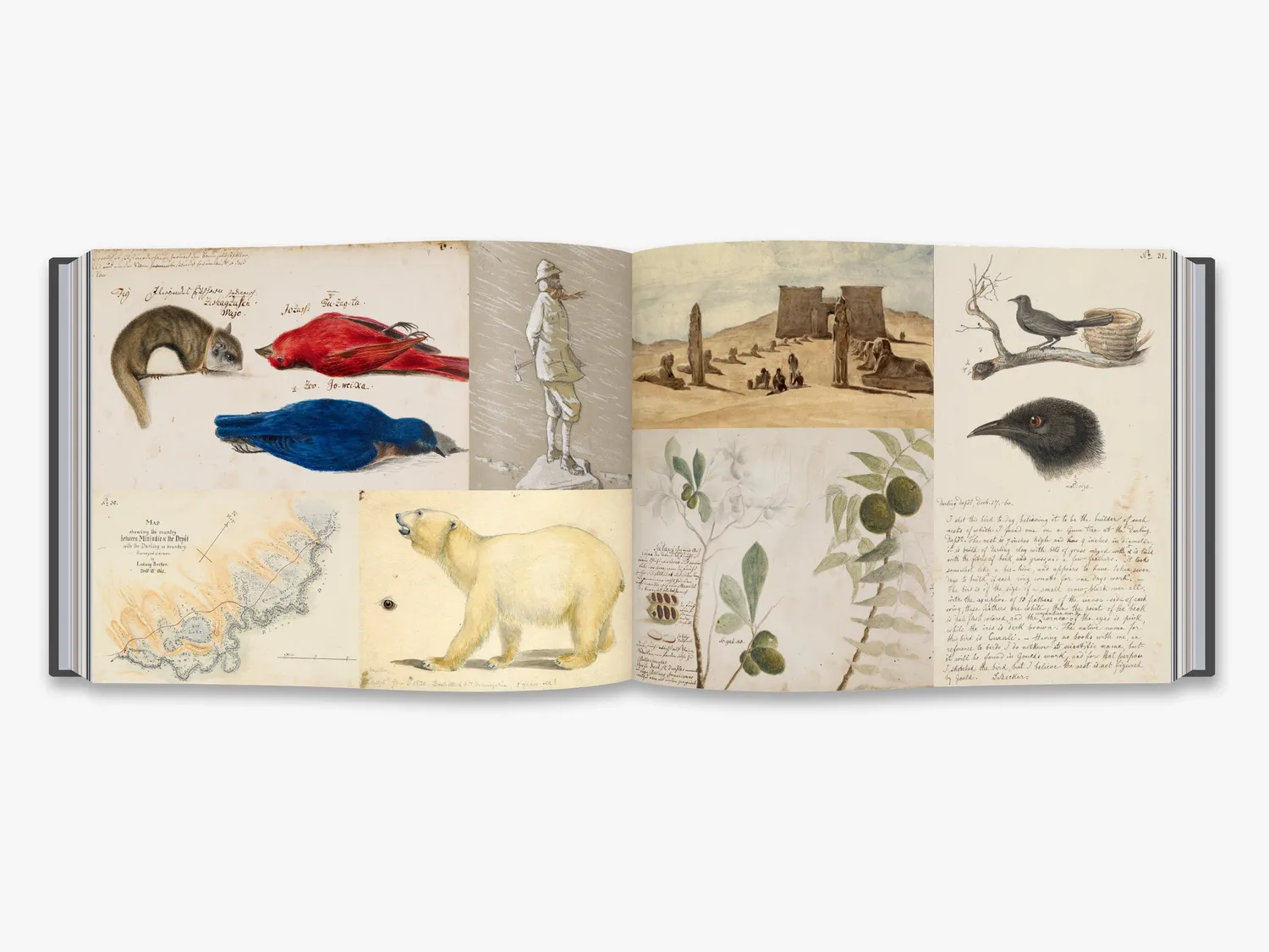 Thames & Hudson Explorers' Sketchbooks bog opdagelse