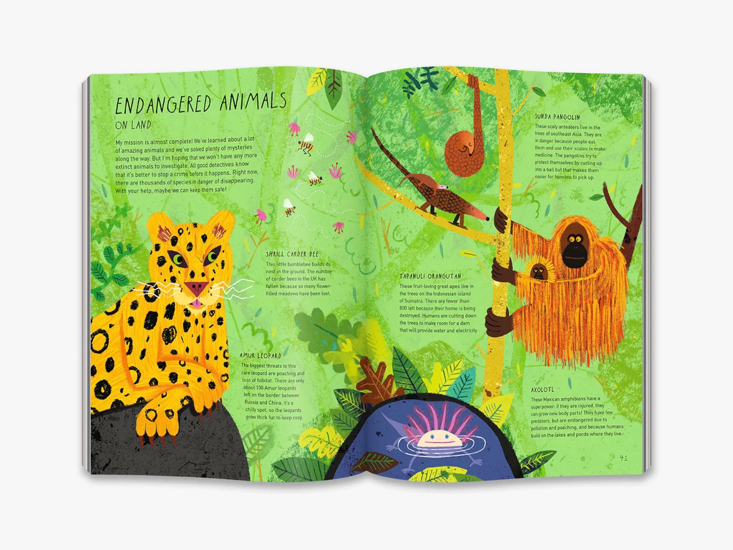 Thames & Hudson Danny Dodo's Detective Diary børnebog illustreret