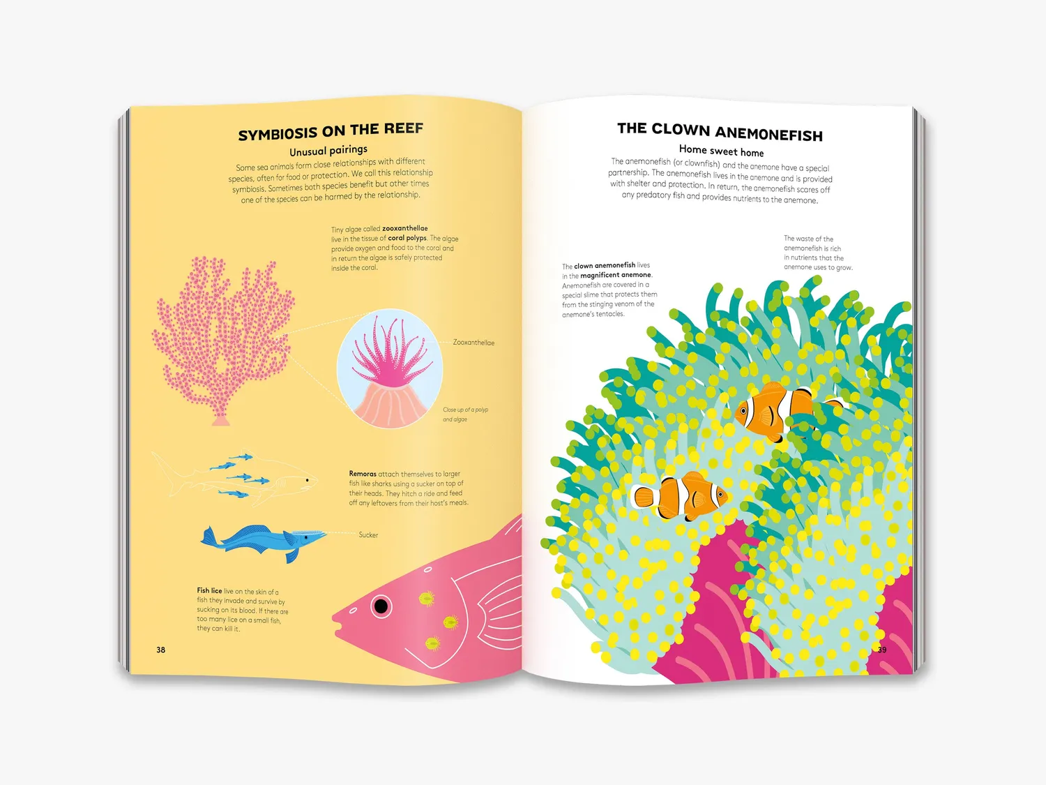 Thames & Hudson Dart and Dive across the Reef børnebog koraller