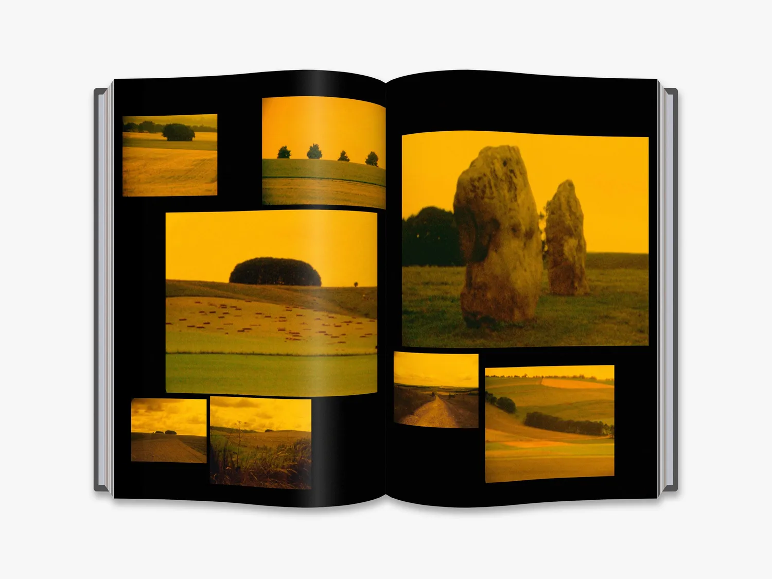 Thames & Hudson Derek Jarman: Protest! kunstbog