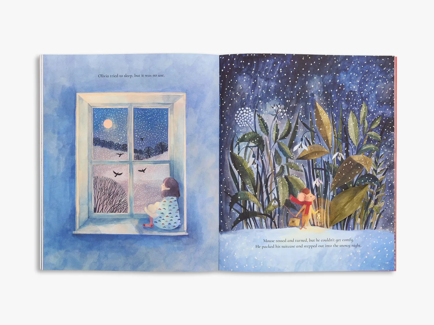 Thames & Hudson Olivia & Mouse Little Red Door børnebog