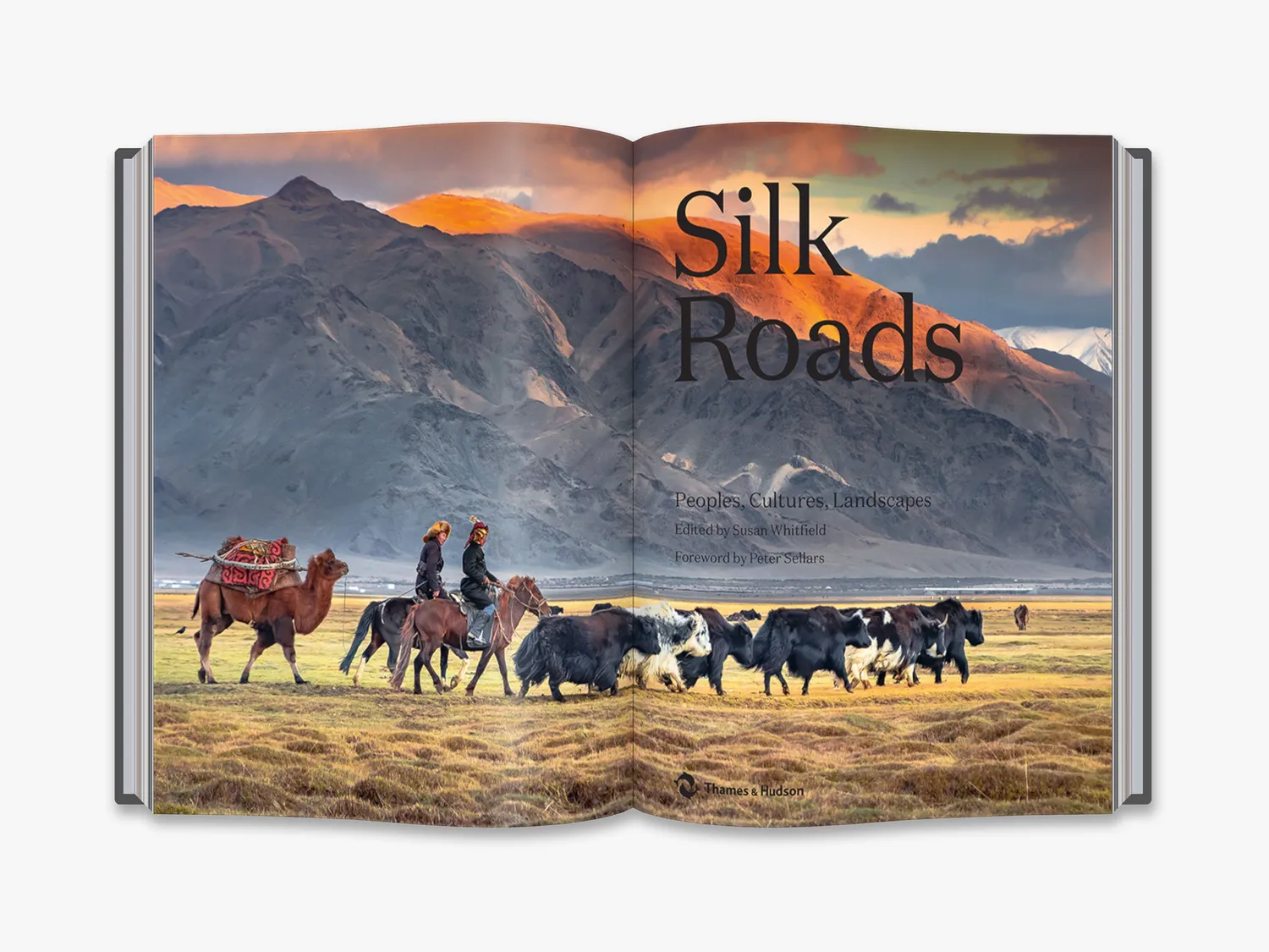 Thames & Hudson Silk Roads bog silkevejen