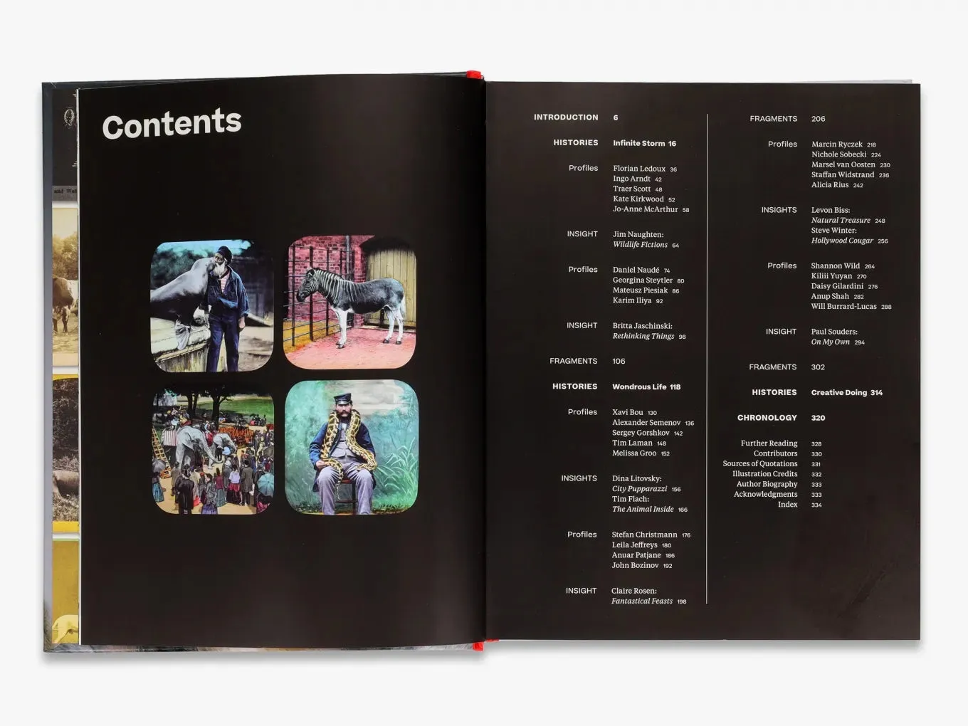 Thames & Hudson Why We Photograph Animals fotobog