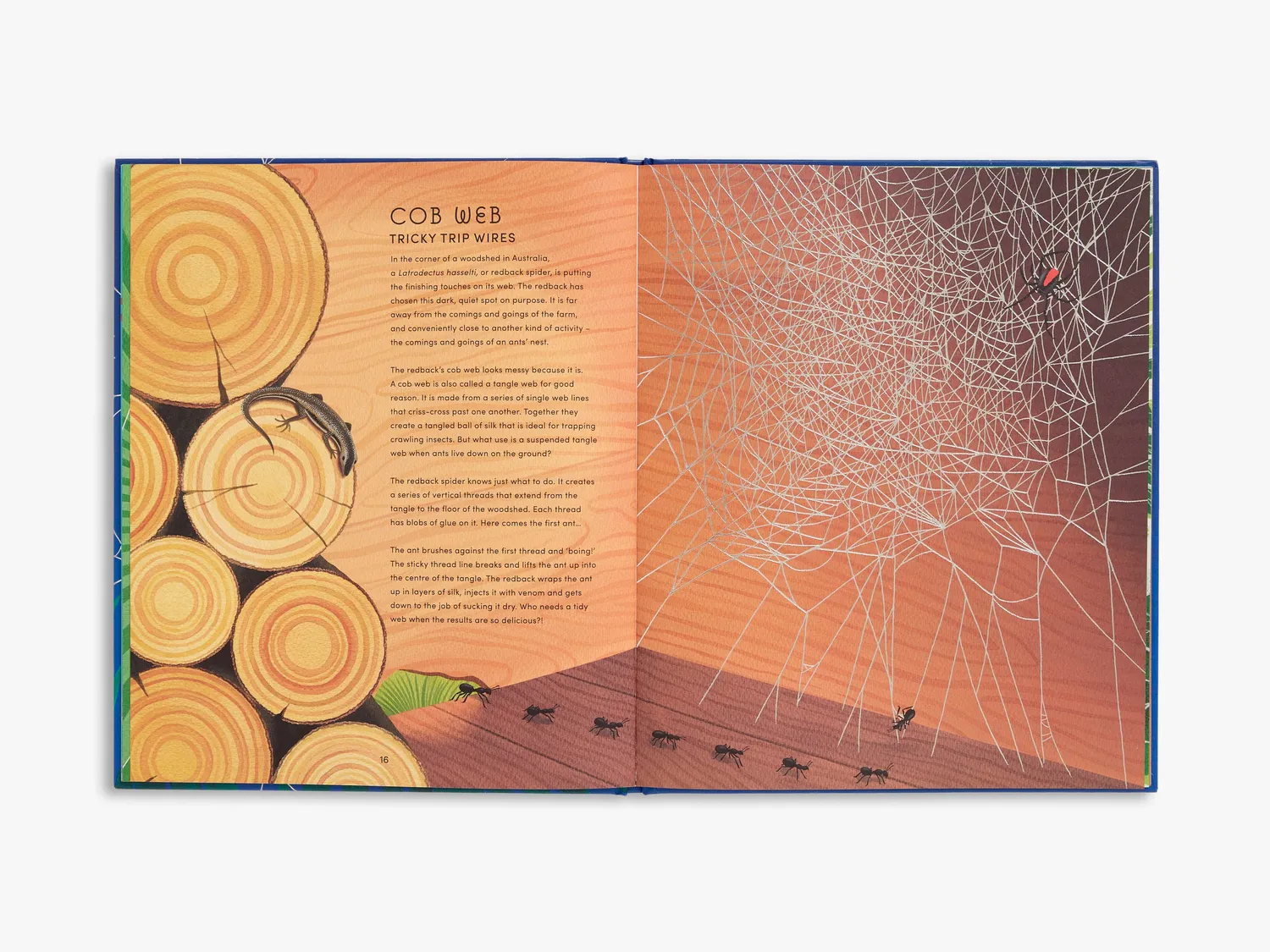 Thames & Hudson Secret World of Spider Webs fagbog edderkop
