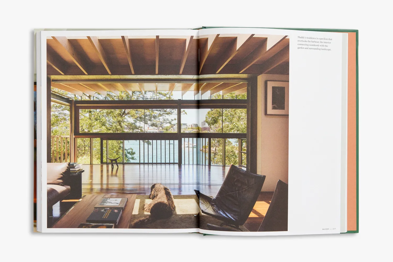 Thames & Hudson Resident Dog bog om huse og hunde