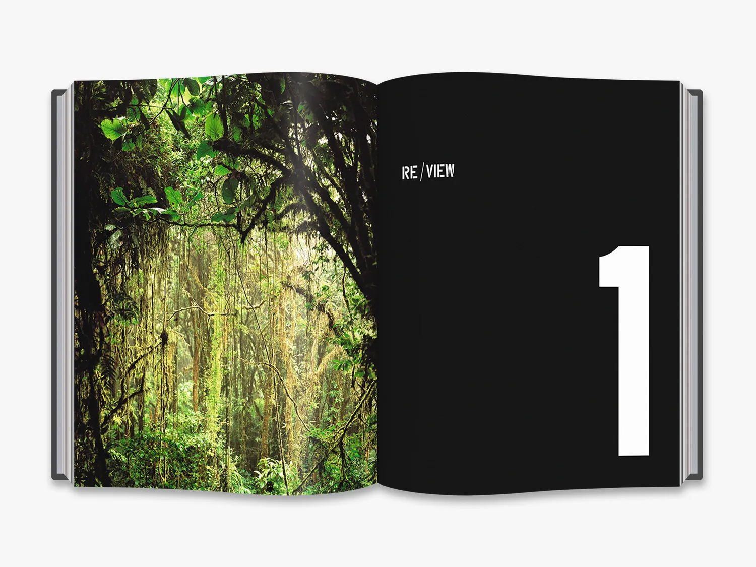 Thames & Hudson Art & Ecology Now fagbog om klimakunst