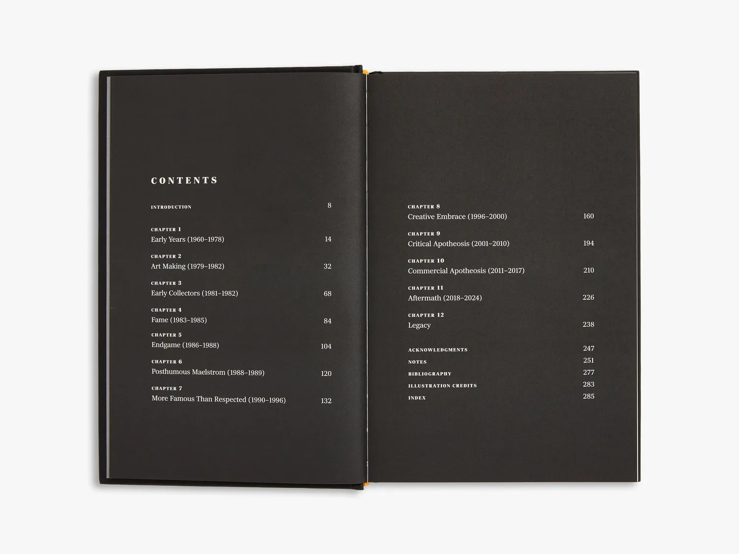 Thames & Hudson Basquiat Making of an Icon bog – biografi