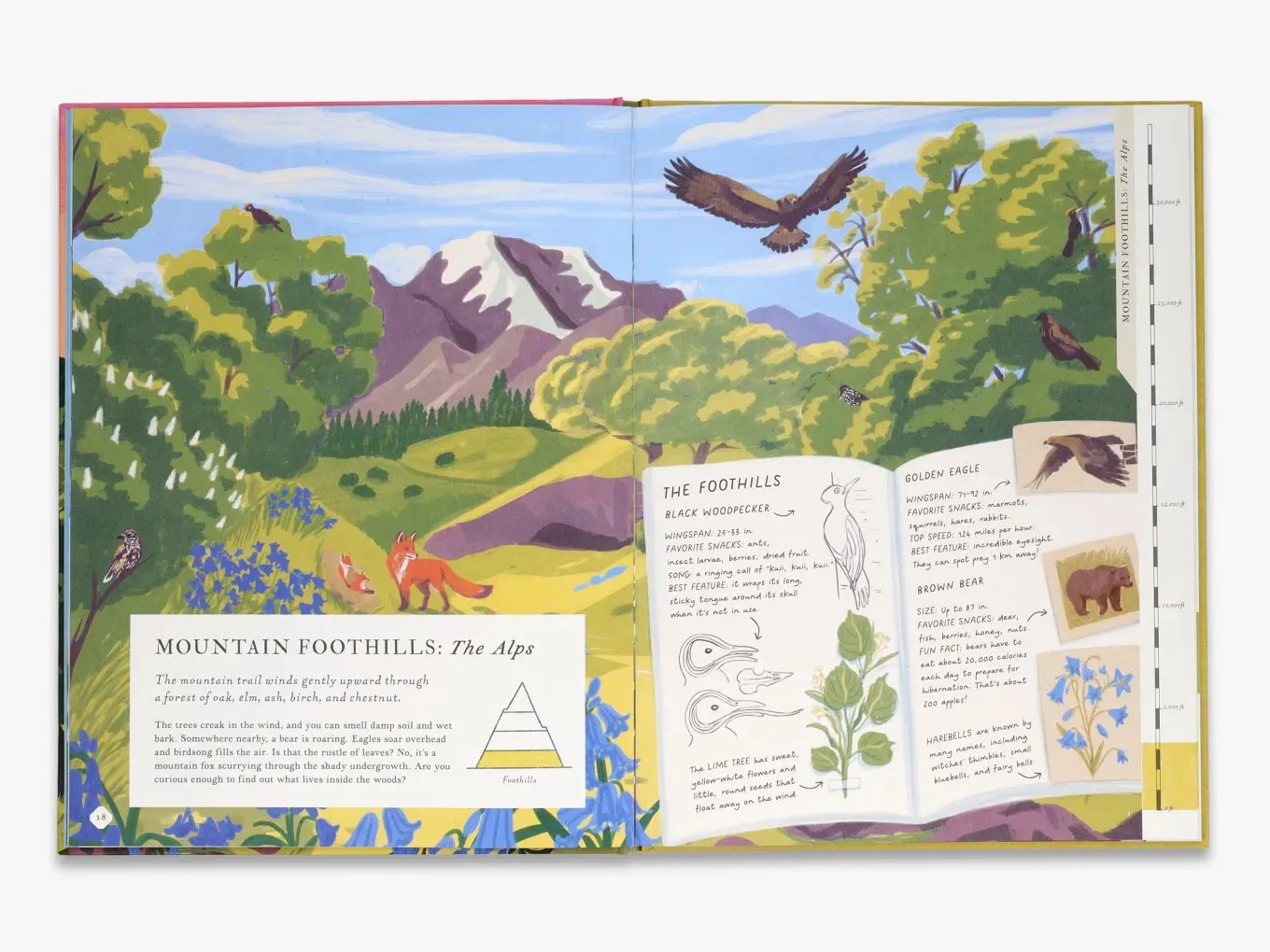 Thames & Hudson Young Explorers There's a Mountain in This Book børnebog