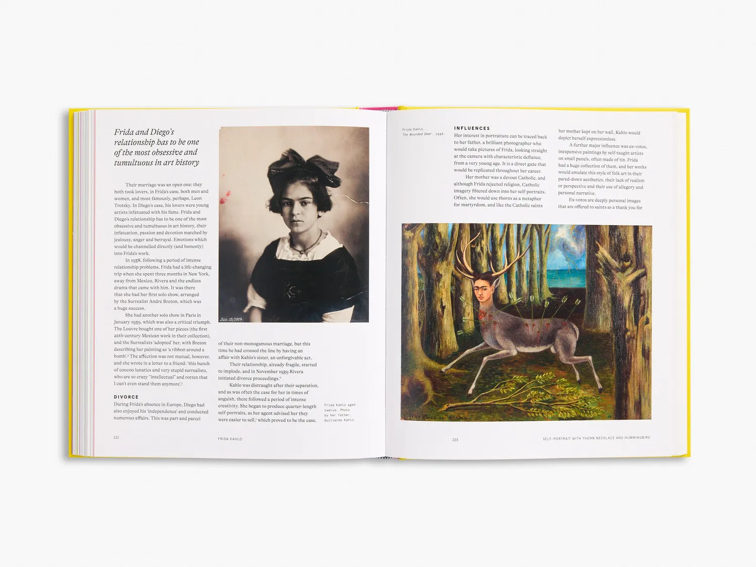 Thames & Hudson Great Art Explained bog kunsthistorie