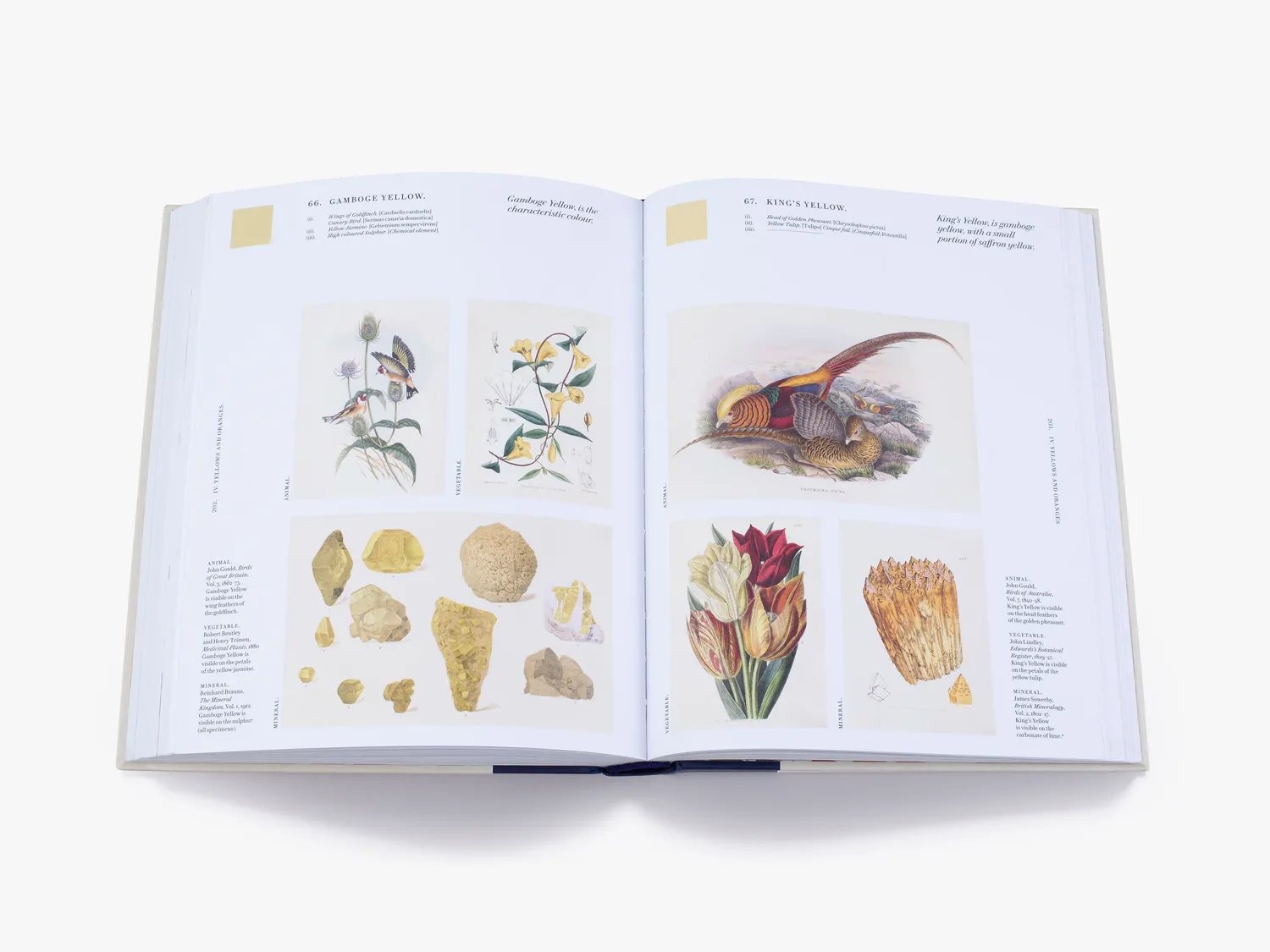Thames & Hudson Nature's Palette bog om farver