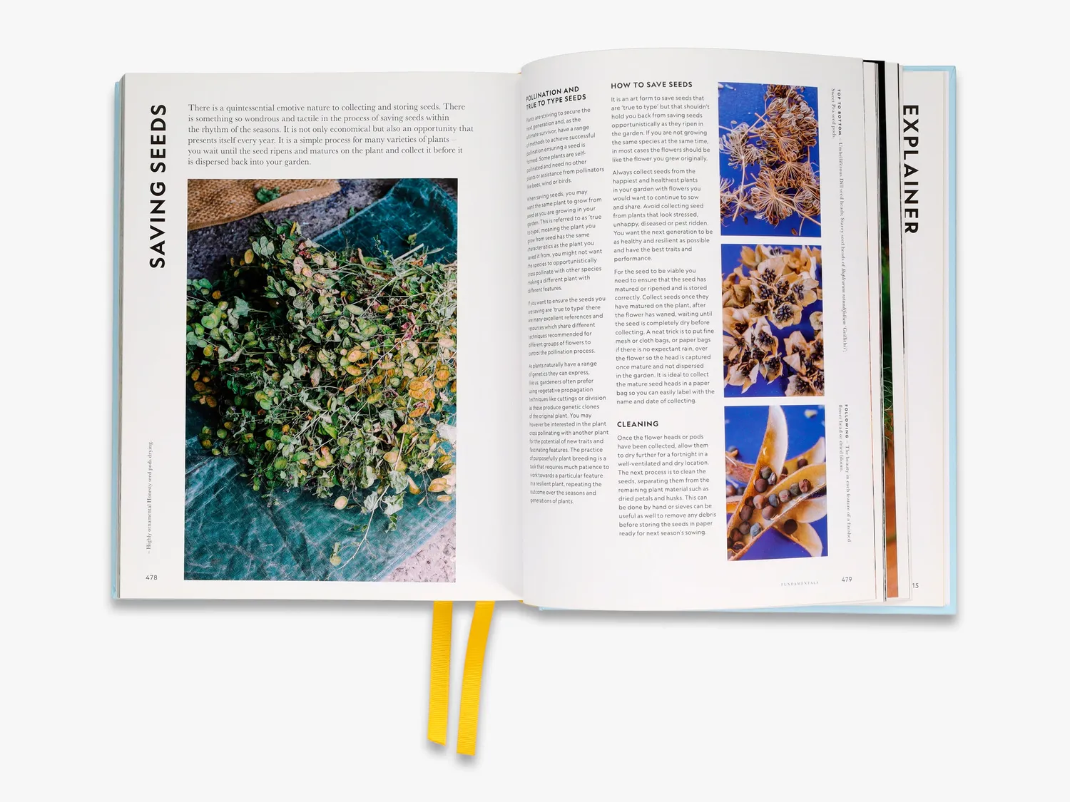 Thames & Hudson Super Bloom bog om haveblomster