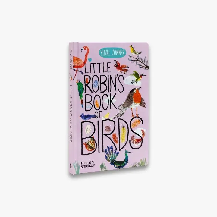 The Big Book Little Robin's Book of Birds papbog fugle