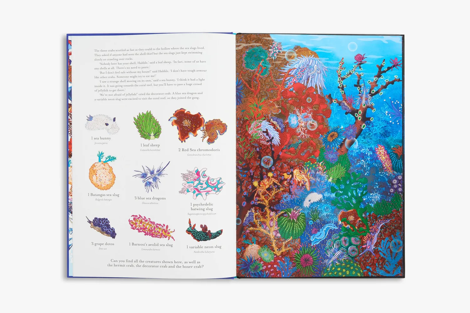 Thames & Hudson Incredible 3D Ocean Dive børnebog 3D