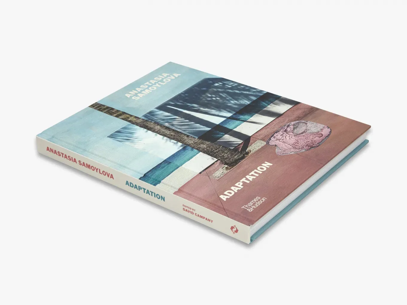 Thames & Hudson Anastasia Samoylova Adaptation fotobog illustreret