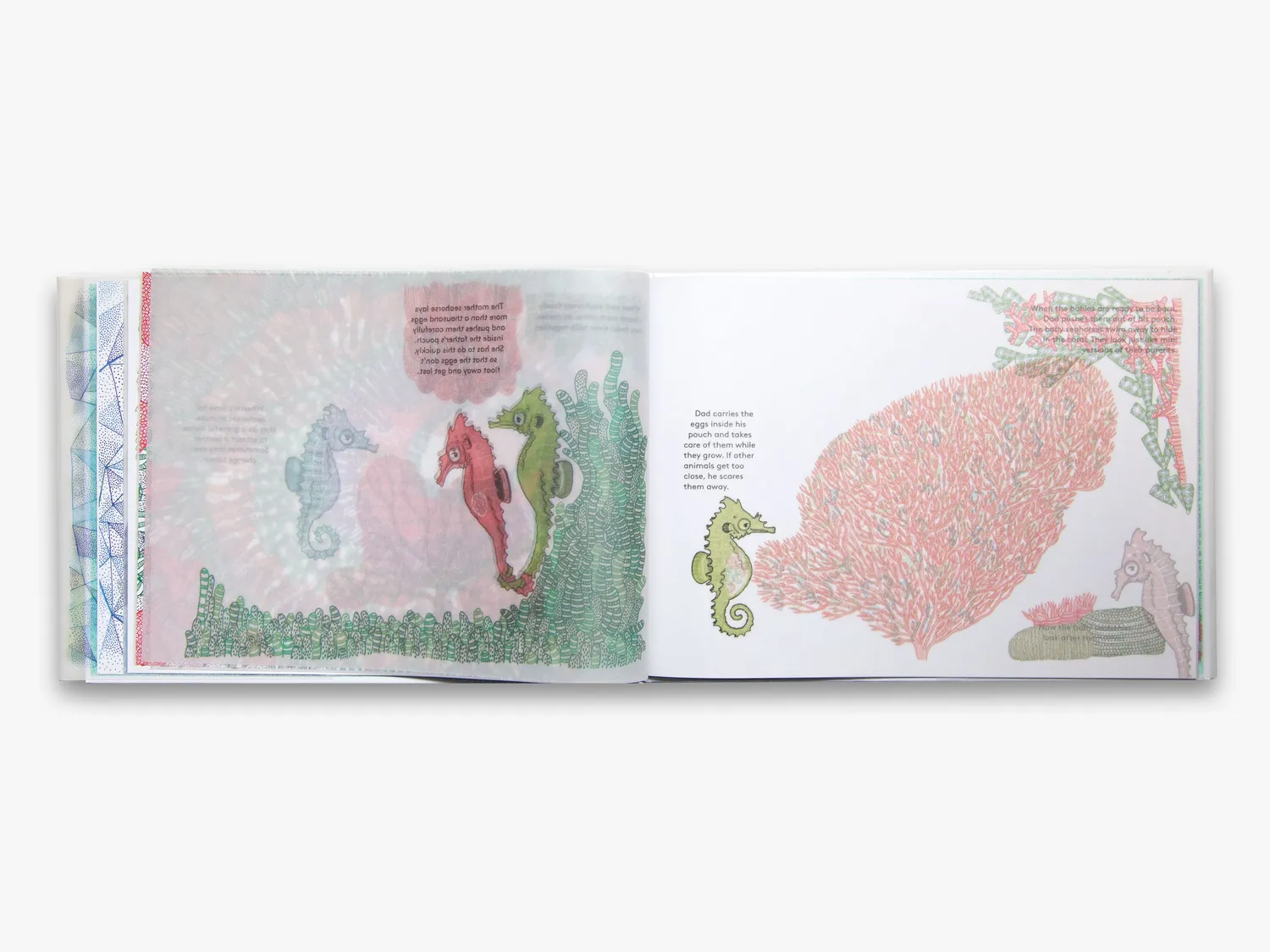 Thames & Hudson Amazing Animal Babies børnebog illustreret