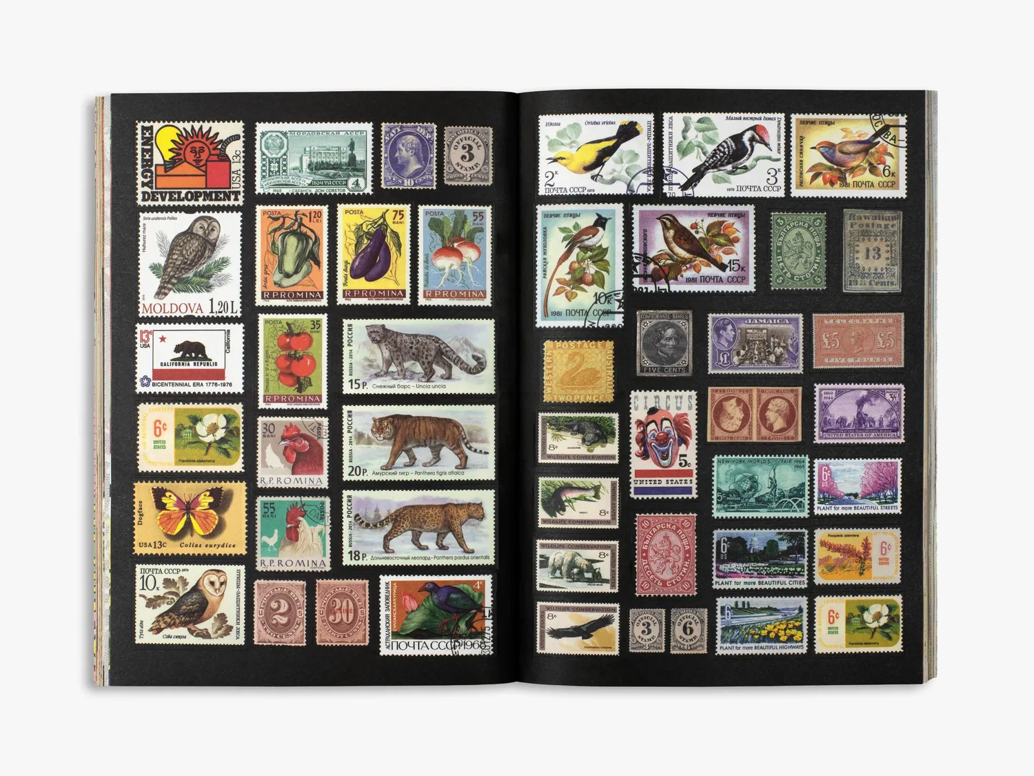 Thames & Hudson The Curious Collections stickerbog 800 stk
