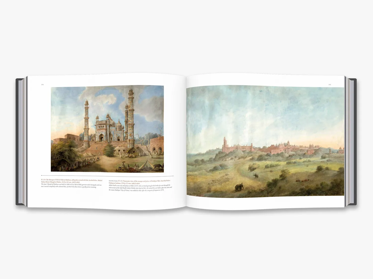 Thames & Hudson Sita Ram's Painted Views of India bog