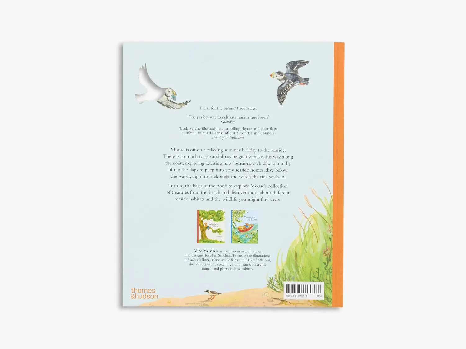 Thames & Hudson Mouse by the Sea billedbog børn