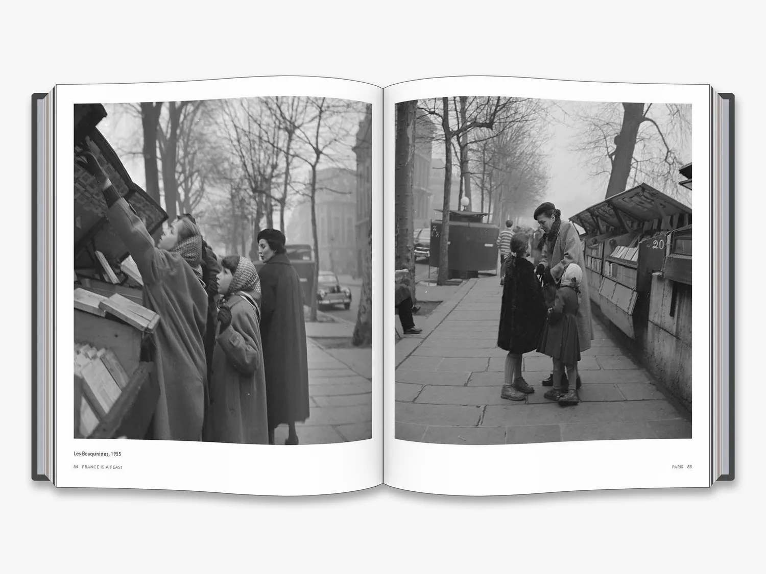 Thames & Hudson France is a Feast bog Julia Child