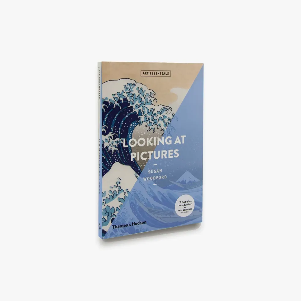 Thames & Hudson Art Essentials Looking At Pictures bog illustreret