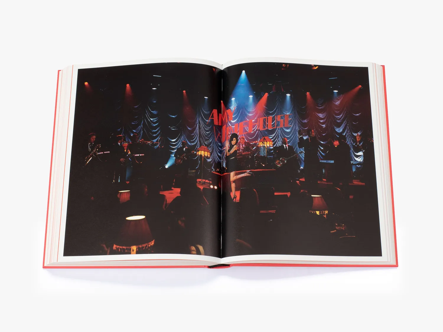 Thames & Hudson Amy Winehouse Beyond Black bog illustreret