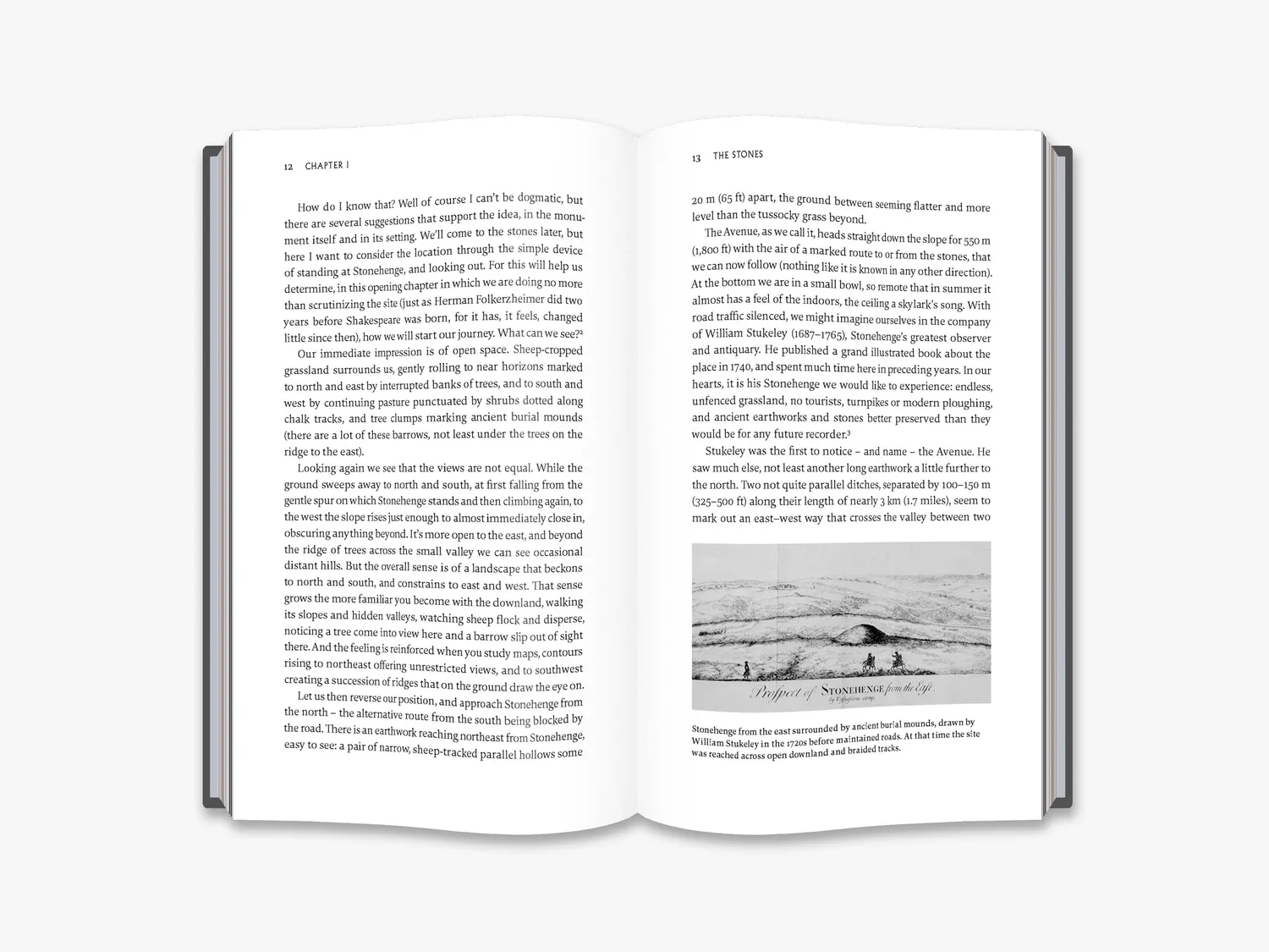Thames & Hudson How to Build Stonehenge bog arkæologi