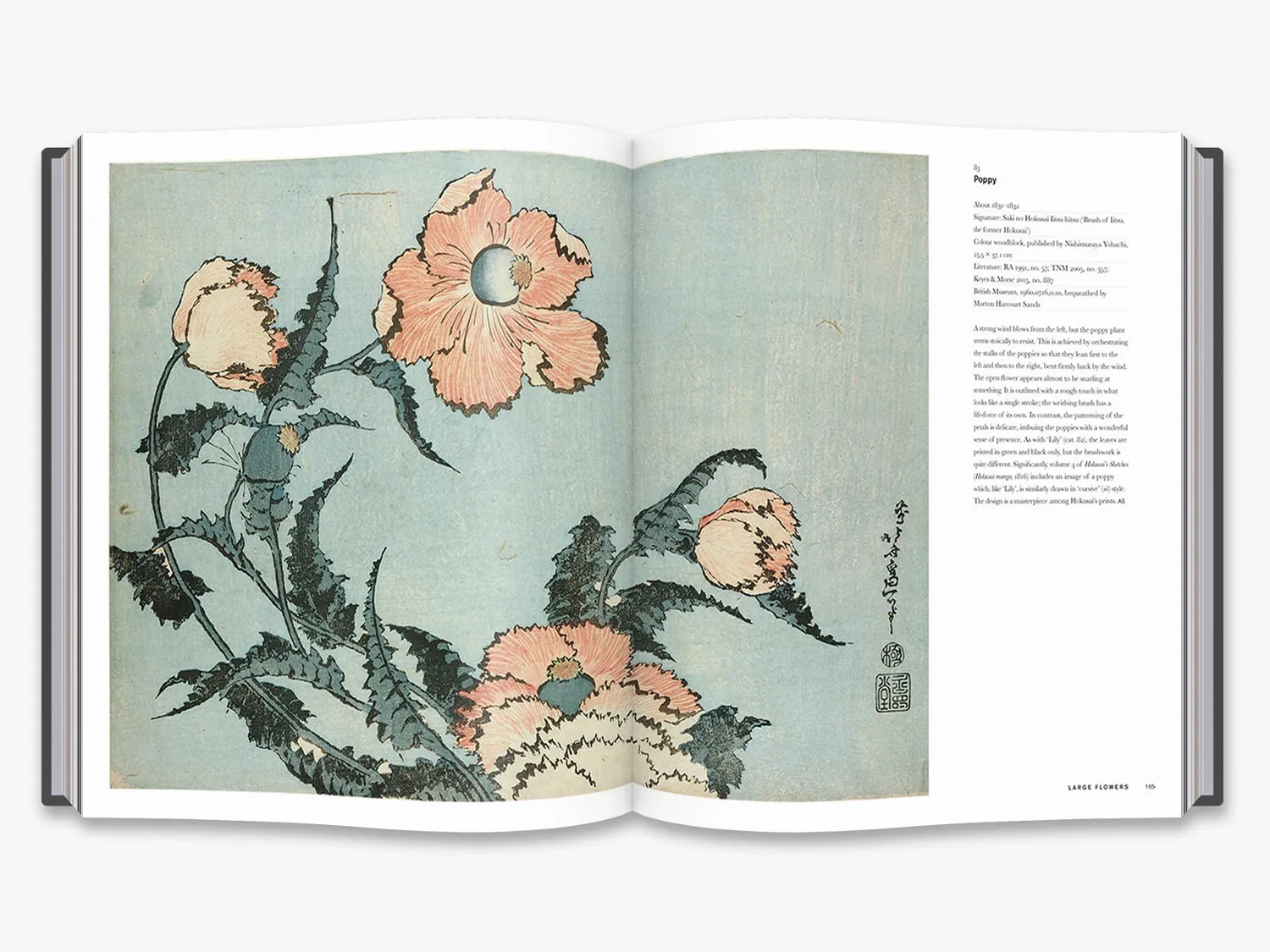 Thames & Hudson Hokusai kunstbog British Museum