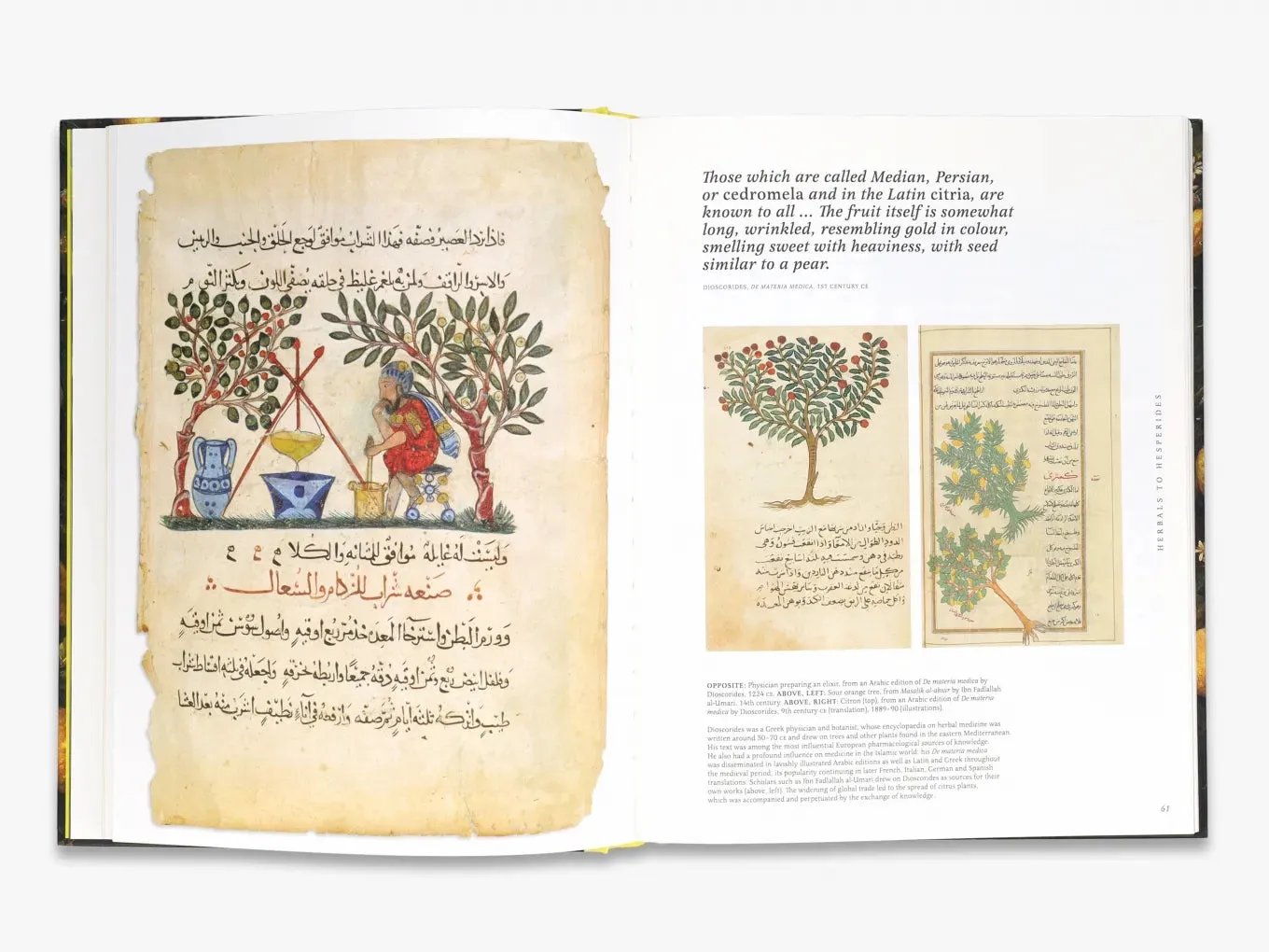 Thames & Hudson Citrus kulturhistorie om citrusfrugter illustreret