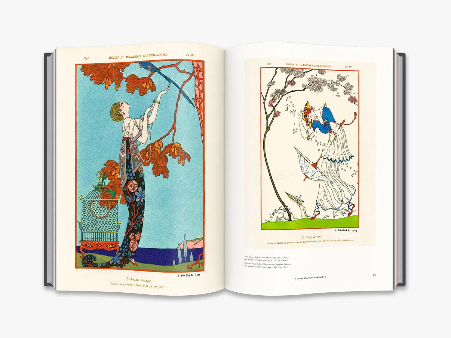 Thames & Hudson Fashion and the Art of Pochoir bog