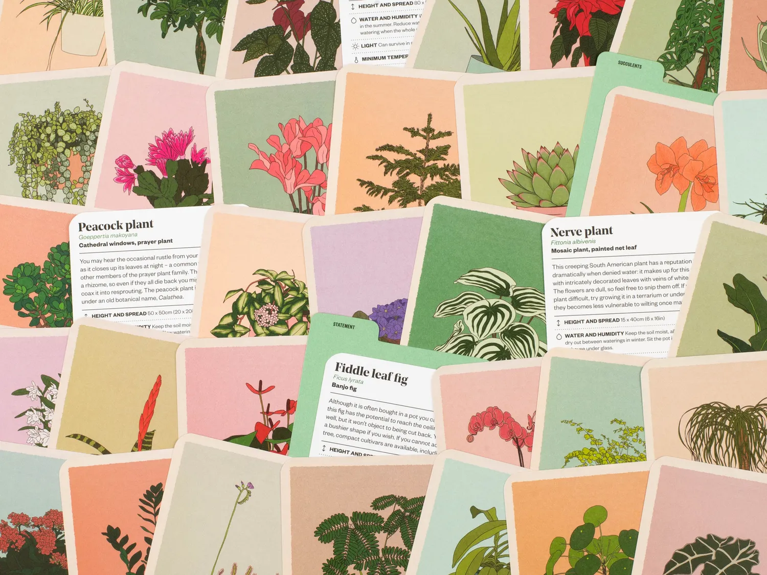 Thames & Hudson Houseplant Gardener in a Box kortbox