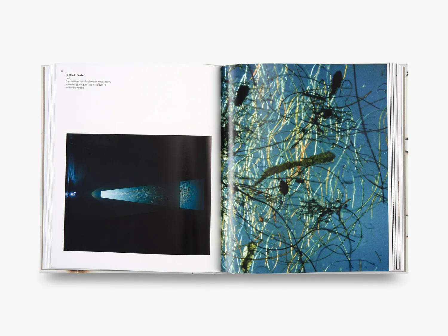 Thames & Hudson Cornelia Parker monografi limited edition