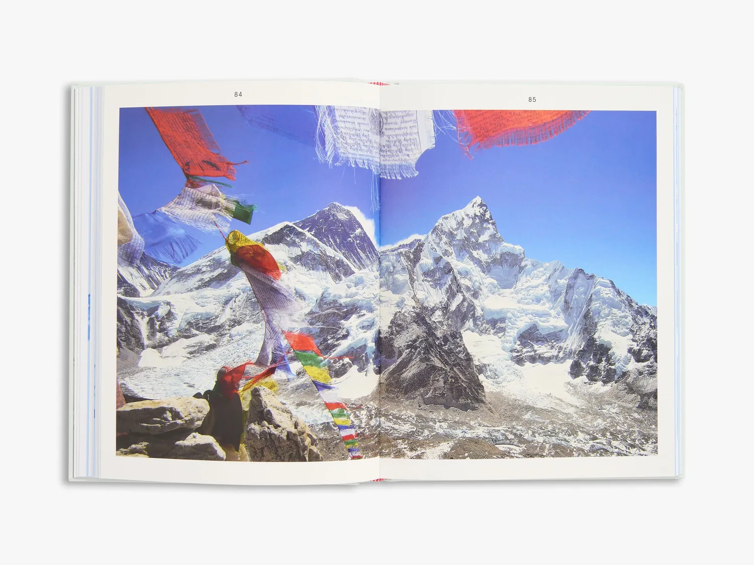 Thames & Hudson Mountaineering Women fagbog om kvinder