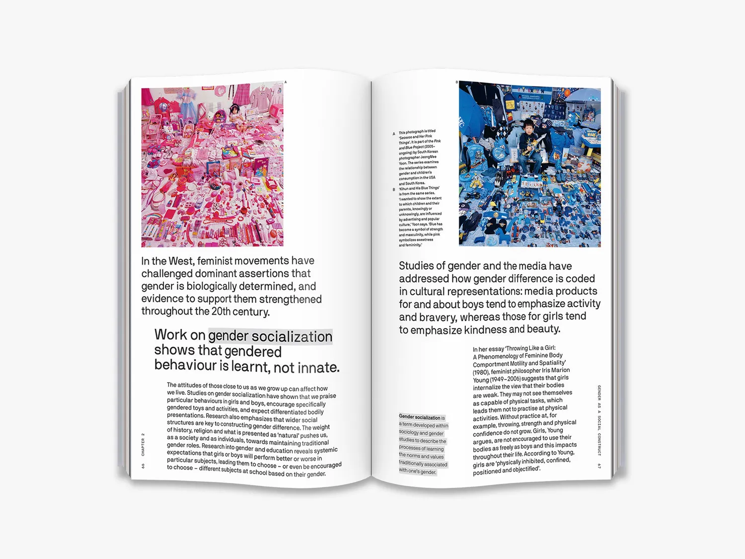 Thames & Hudson The Big Idea Is Gender Fluid bog køn