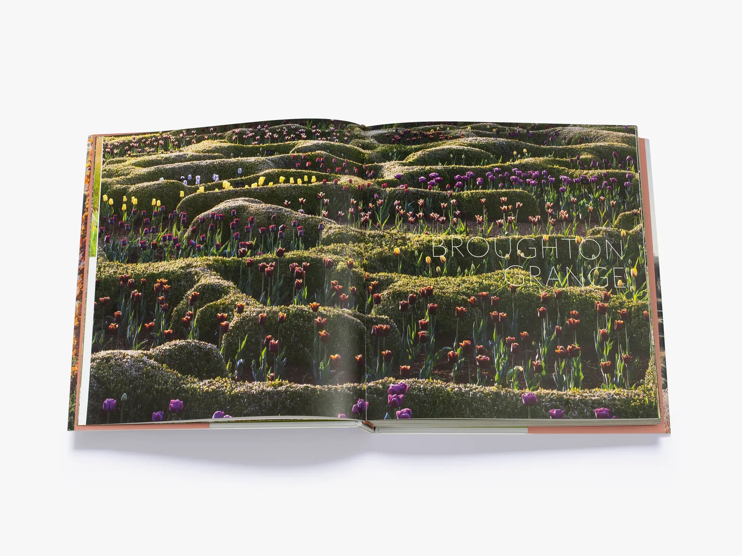 Thames & Hudson Tom Stuart-Smith bog havedesign 24 projekter