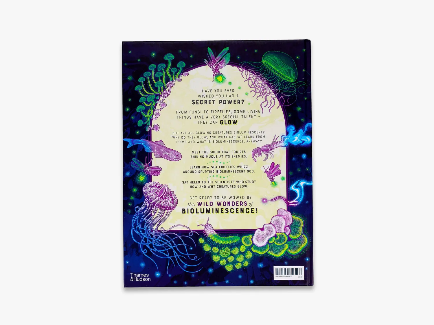 Thames & Hudson Wild Wonders Glow børnebog bioluminescens