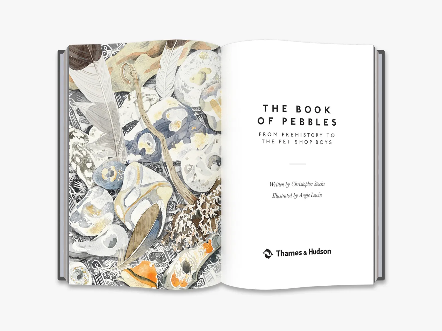 Thames & Hudson The Book of Pebbles naturbog