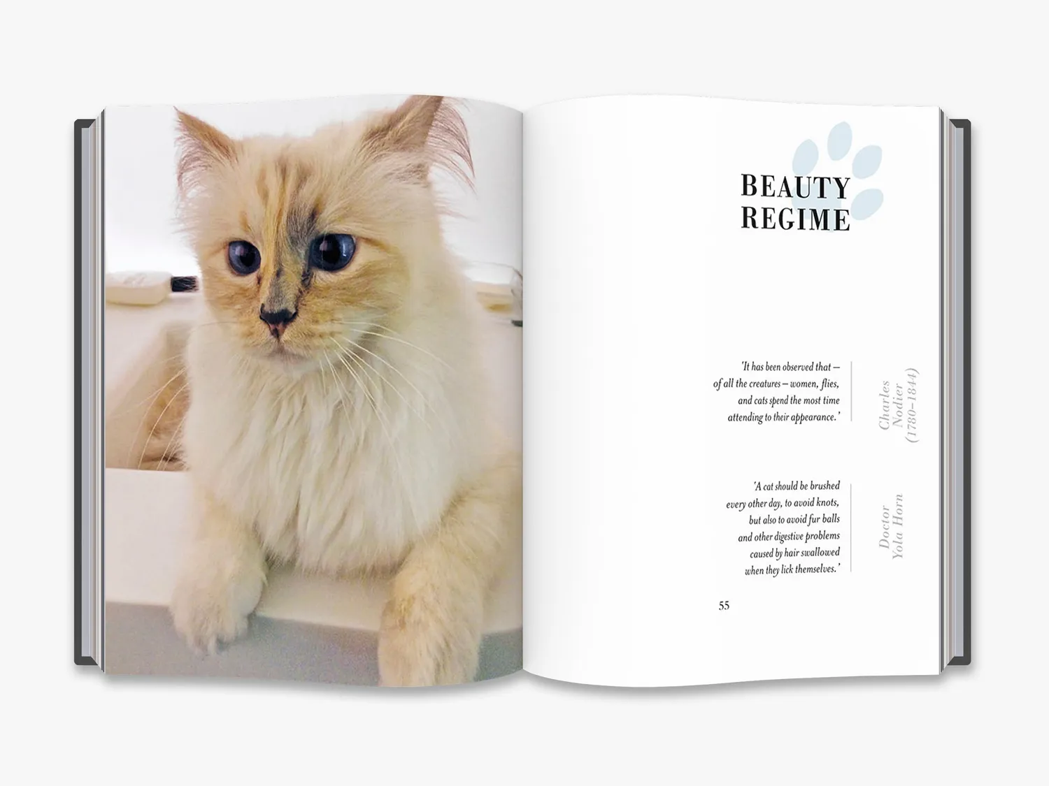 Thames & Hudson Choupette bog Karl Lagerfeld kat gave