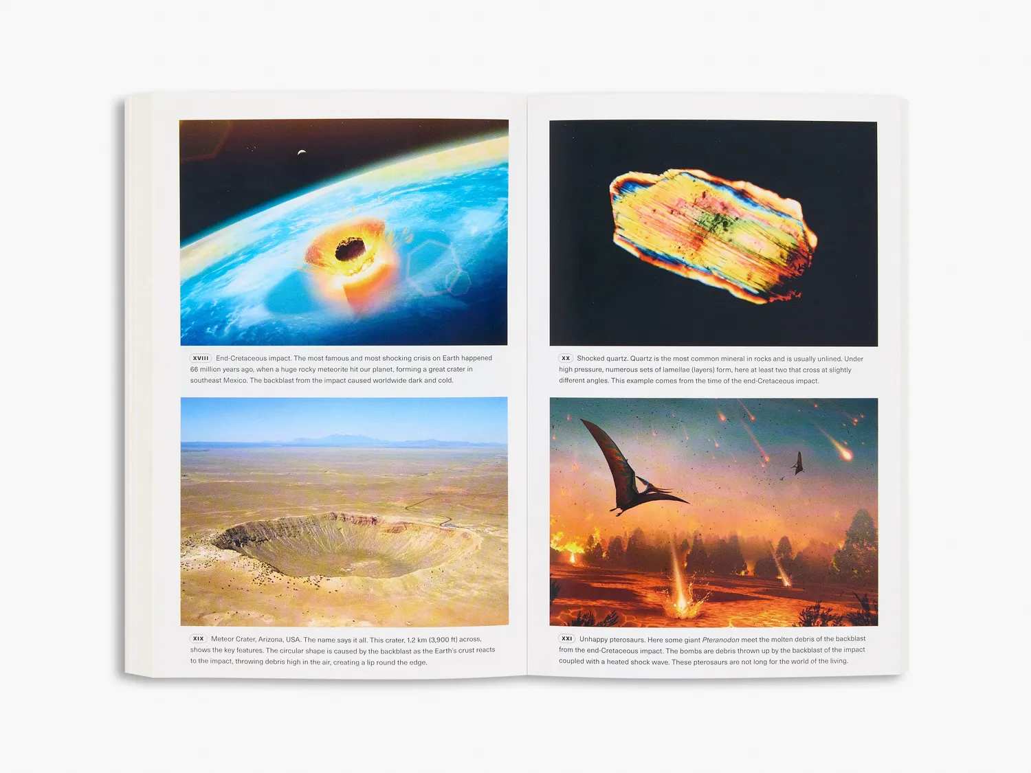 Thames & Hudson Extinctions bog naturhistorie
