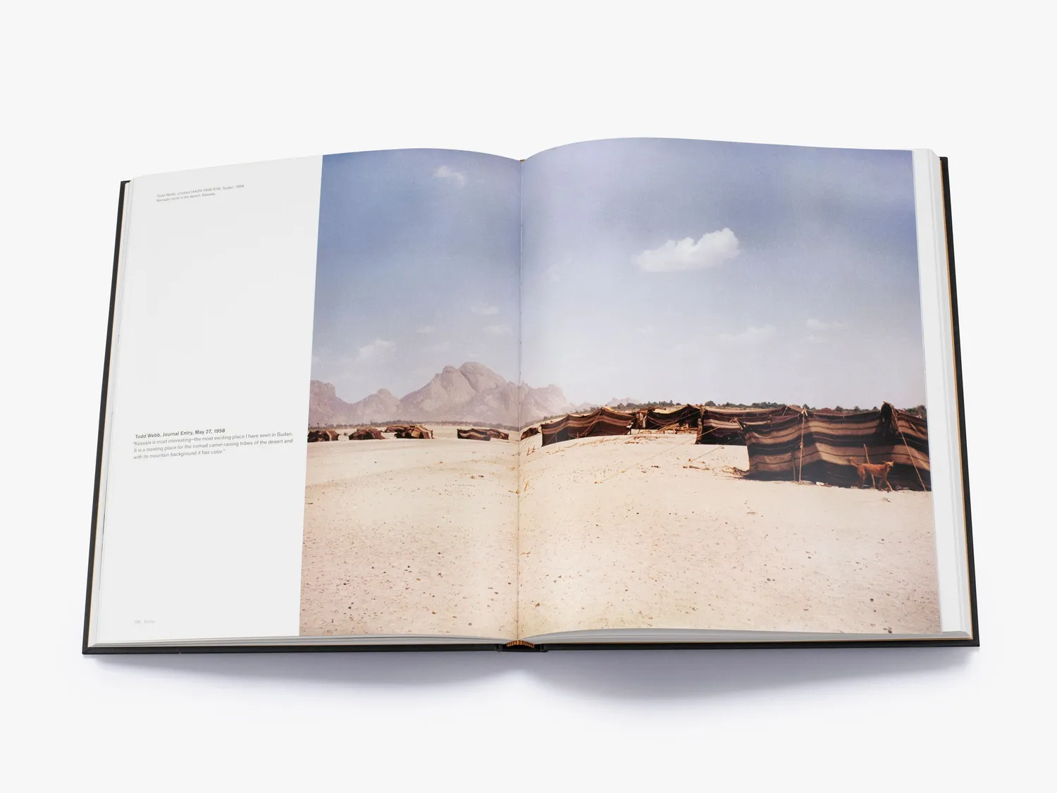 Thames & Hudson Todd Webb in Africa fotobog illustreret