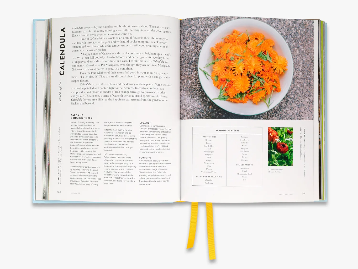 Thames & Hudson Super Bloom bog om haveblomster