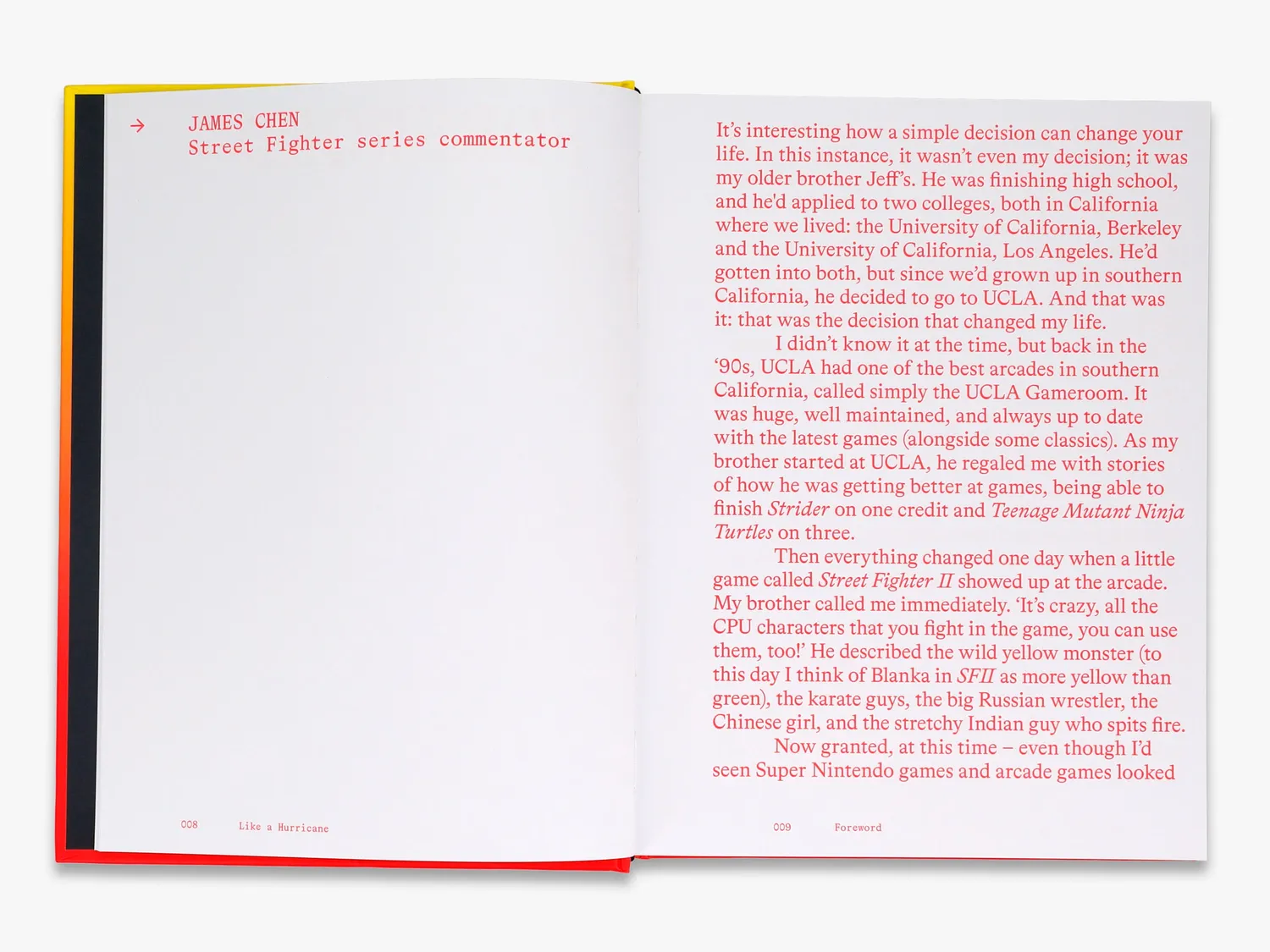 Thames & Hudson Like a Hurricane bog – Street Fighter II