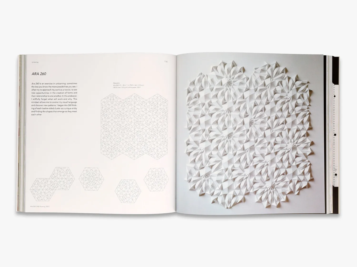 Thames & Hudson Unfolding bog papirkunst