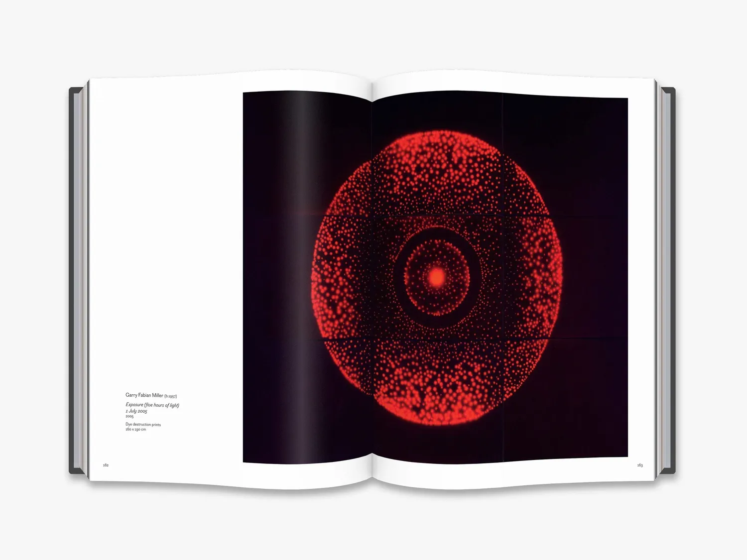 Thames & Hudson Cameraless Photography fotobog
