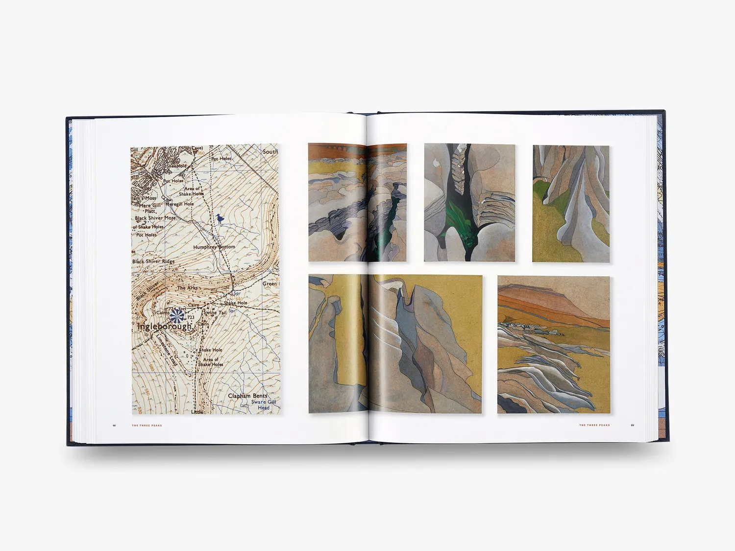Thames & Hudson Tracks Walking Ancient Landscapes Limited Edition bog