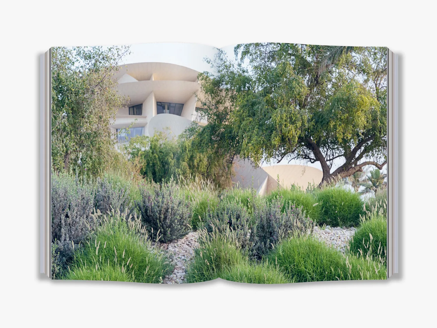 Thames & Hudson National Museum of Qatar bog arkitektur