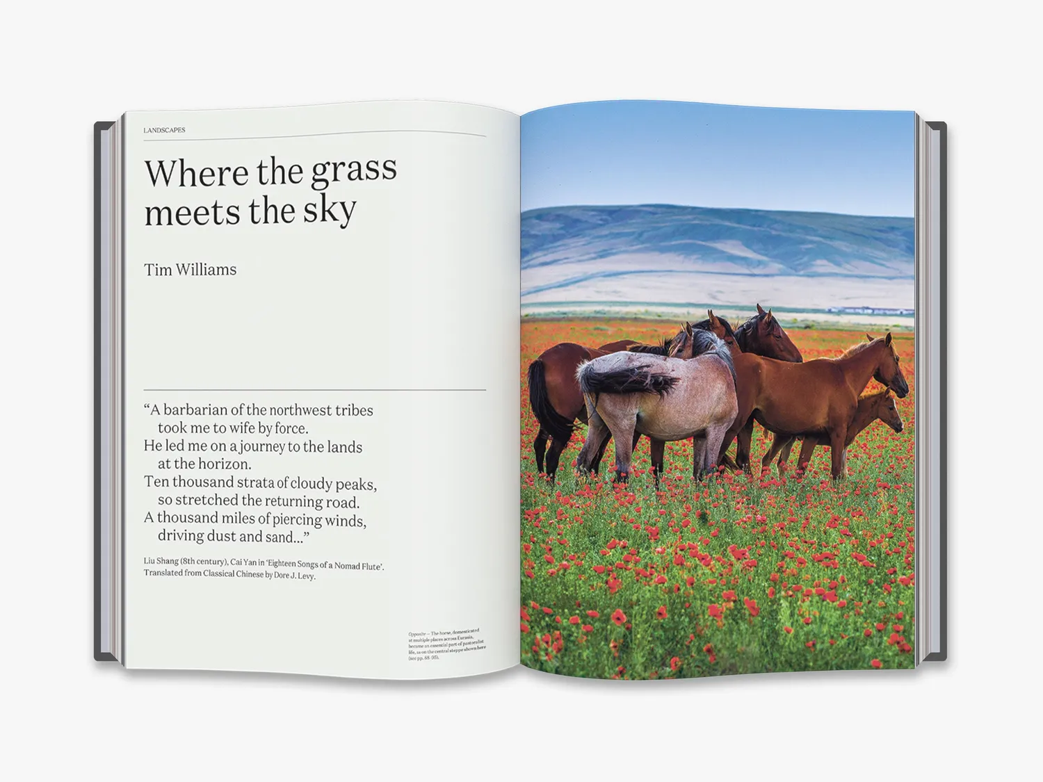 Thames & Hudson Silk Roads bog silkevejen
