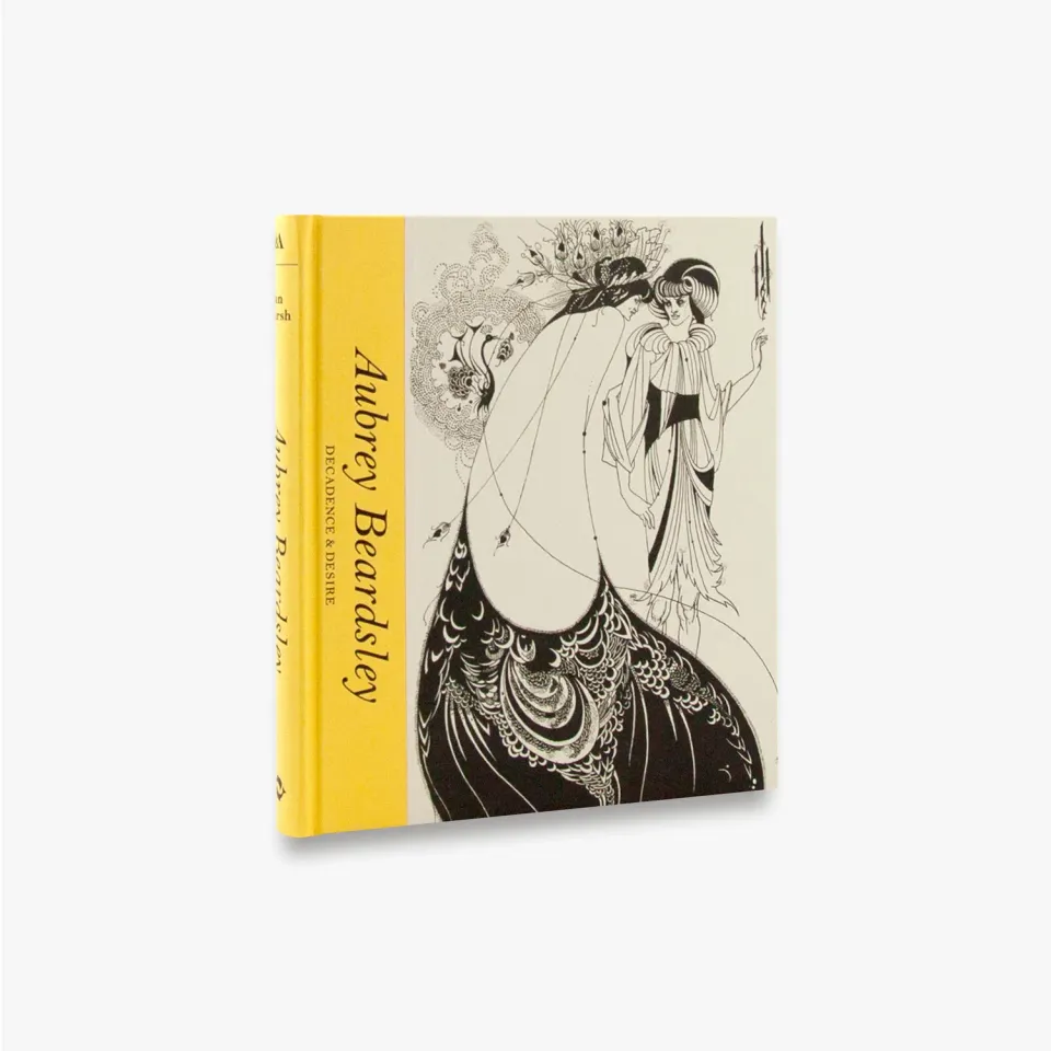 Thames & Hudson Aubrey Beardsley kunstbog Artists in Focus