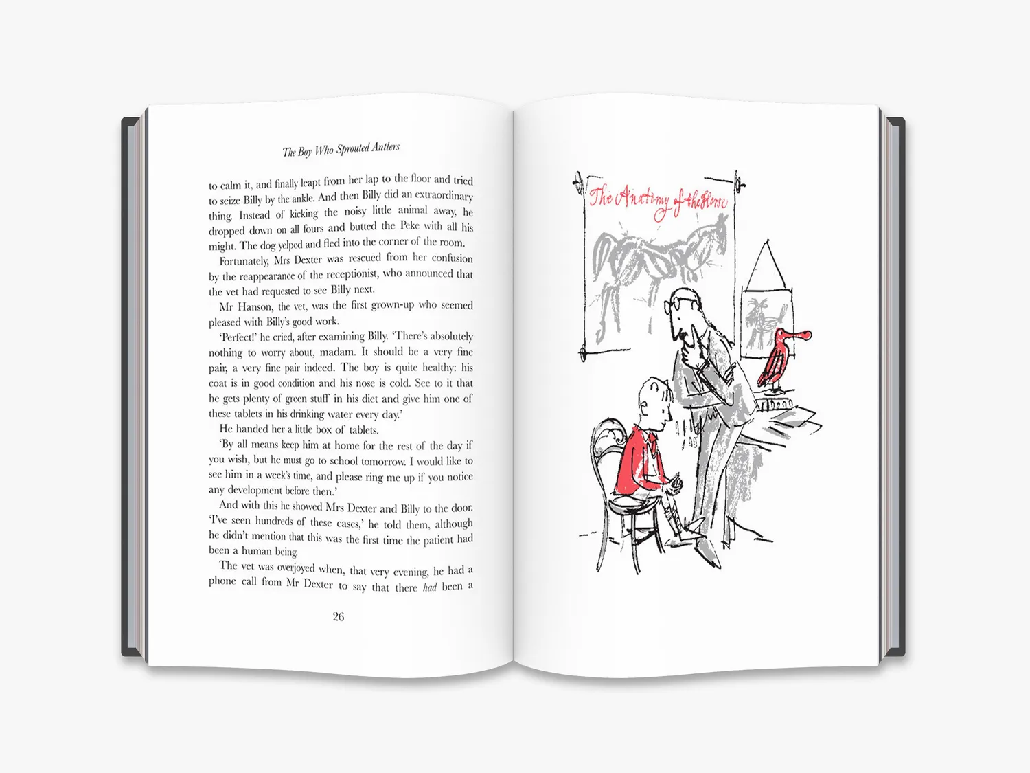 Thames & Hudson Boy Who Sprouted Antlers børnebog